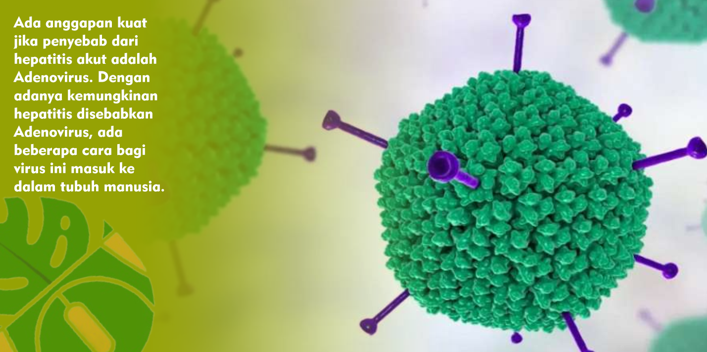 Waspada, 4 Cara Adenovirus Masuk ke Tubuh Manusia